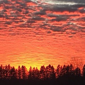 Meet your Posher, Judy